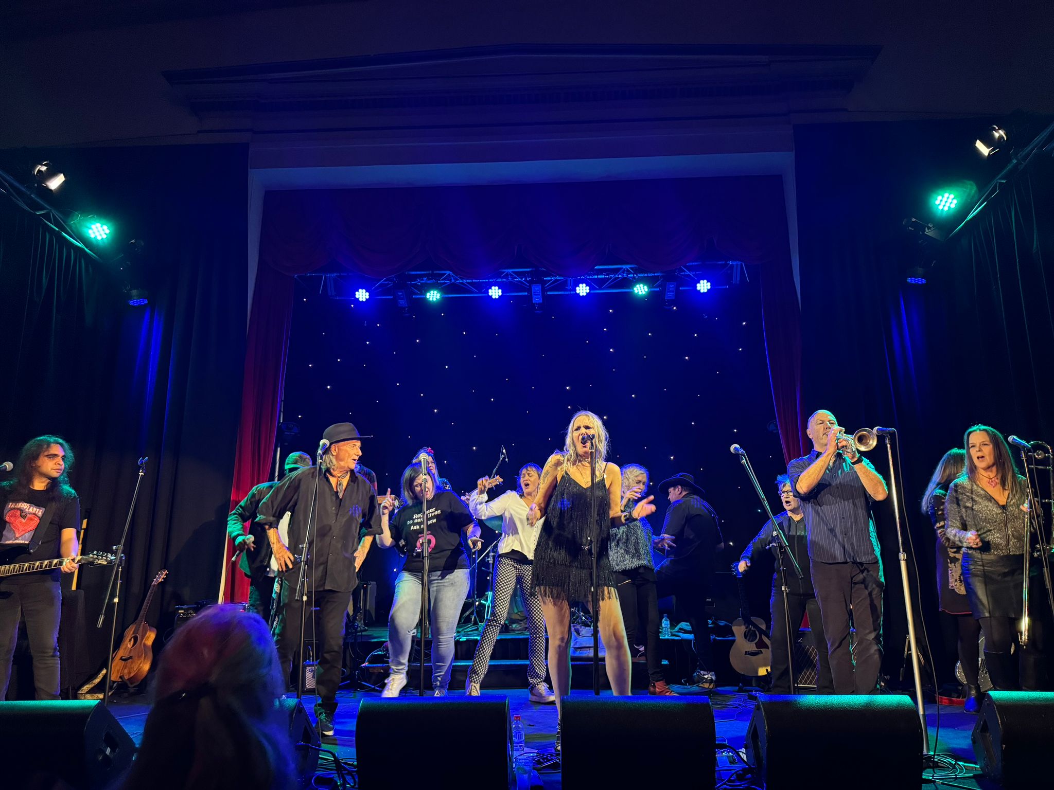 A band performs on stage, lit up by blue stage lights. Visible in the picture are a bass player, a male and a female singer, a trumpet player, a trombone player, and several people behind them dancing and singing along.