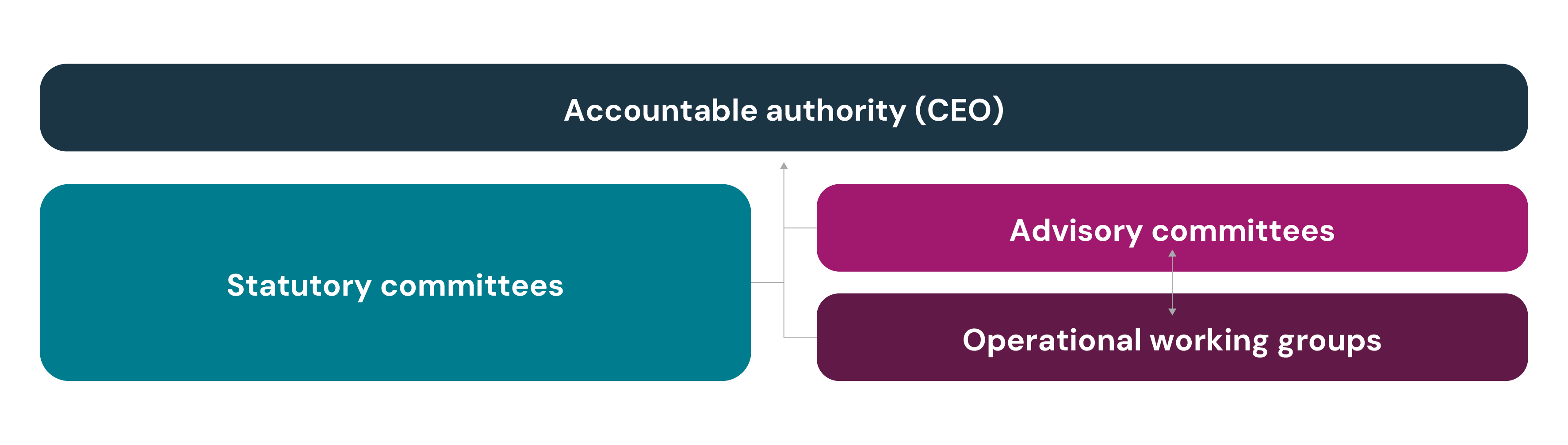 Diagram showing how the OTA's committee structure works. On the bottom left there is a box with 'Statutory committees' and an arrow pointing to a box at the top which says 'Accountable authority (CEO)''. There are two boxes on the bottom right  which say,' Advisory committees' and 'Operational working groups' which also point to the top banner.