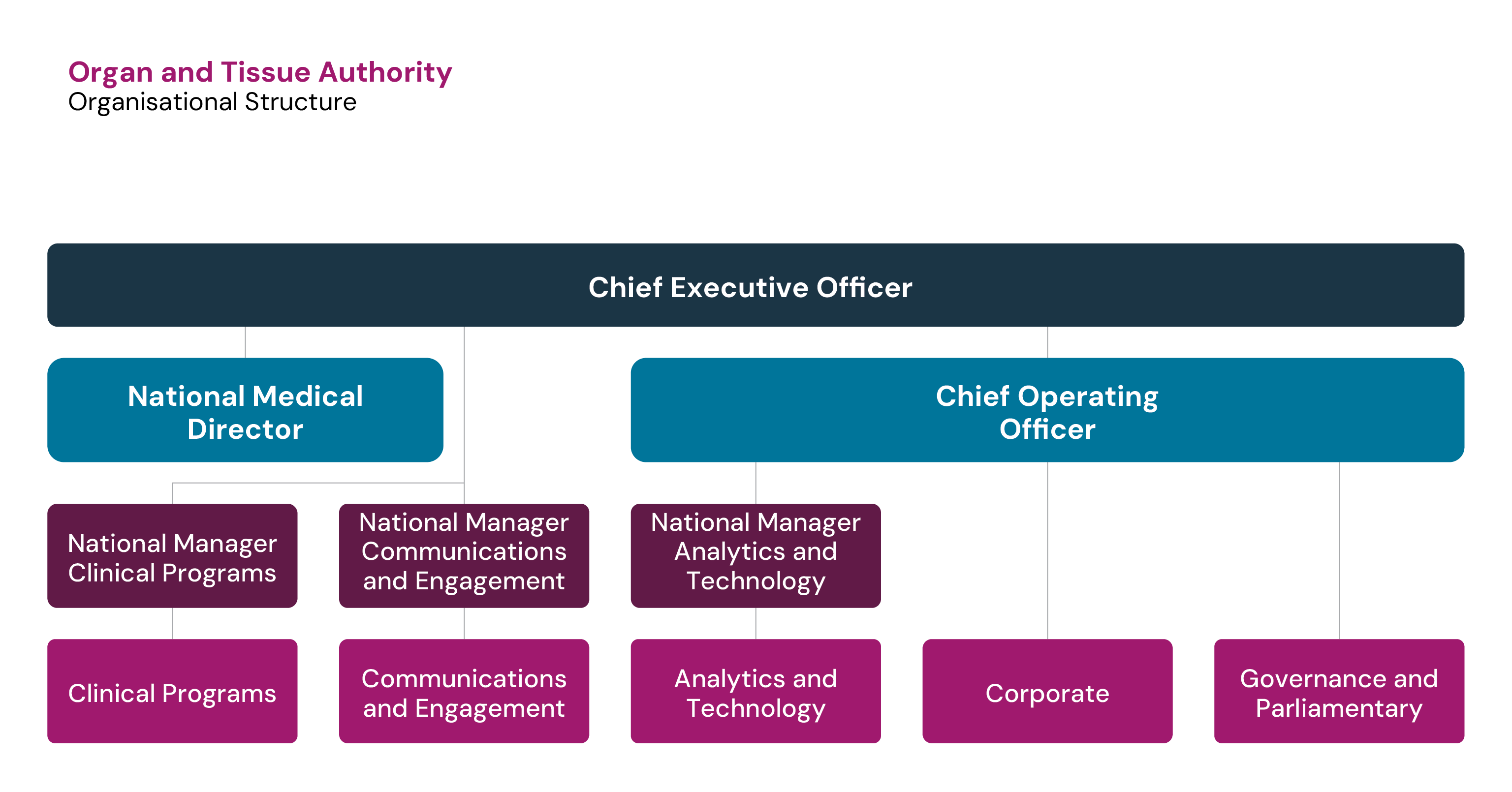 Organisational flow chart. The Chief Executive Officer is on the top row. The second row has the National Medical Director and the Chief Operating Officer. The third row has the National Manager Clinical Programs, National Manager communications and Engagement, and the National Manager Analytics and Technology. The fourth row has the Clinical Program, Communications and Engagement, Analytics and Technology, Corporate, and Governance and Parliamentary.