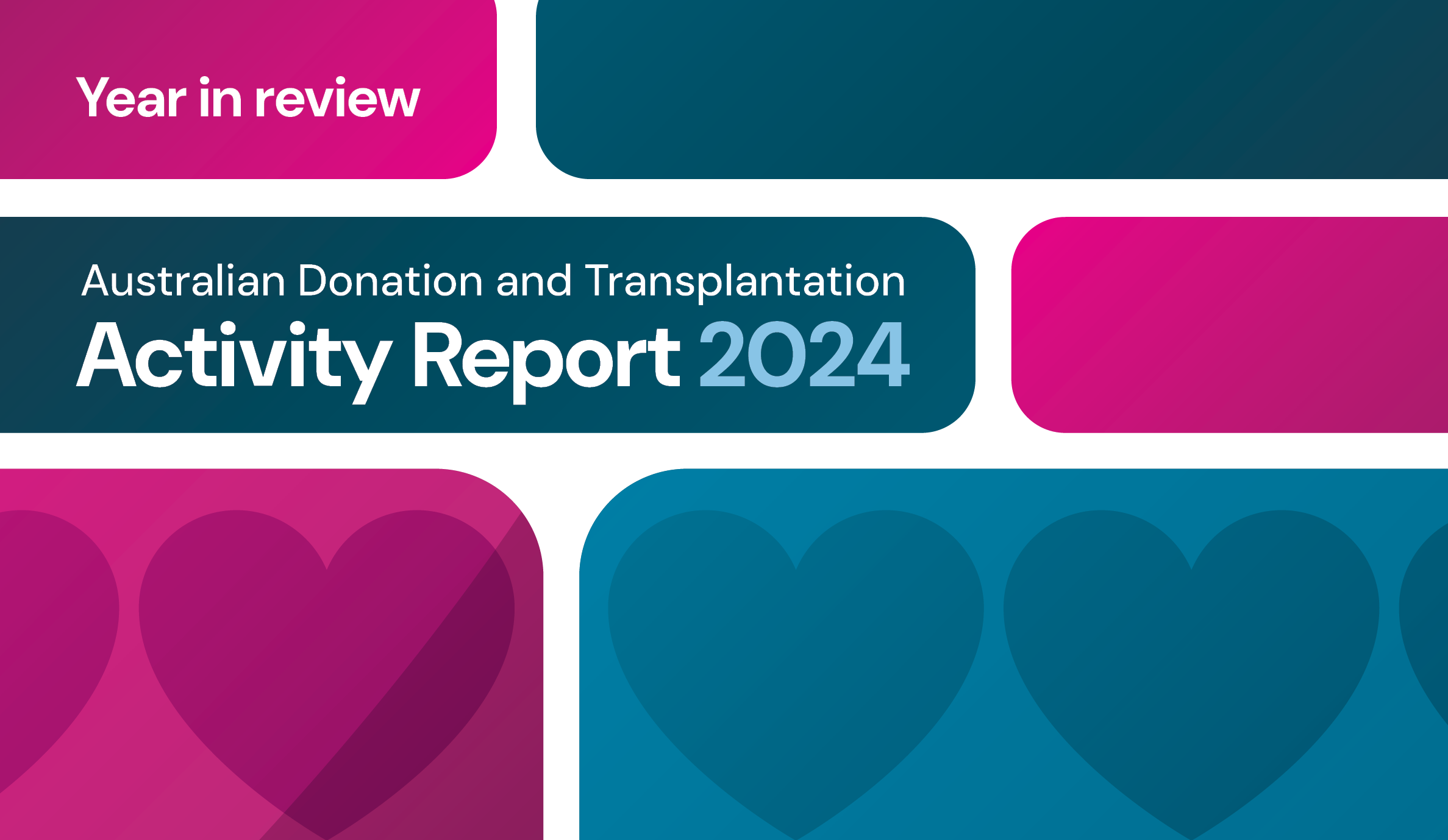 The 2024 Australian Donation and Transplantation Activity Report is now available