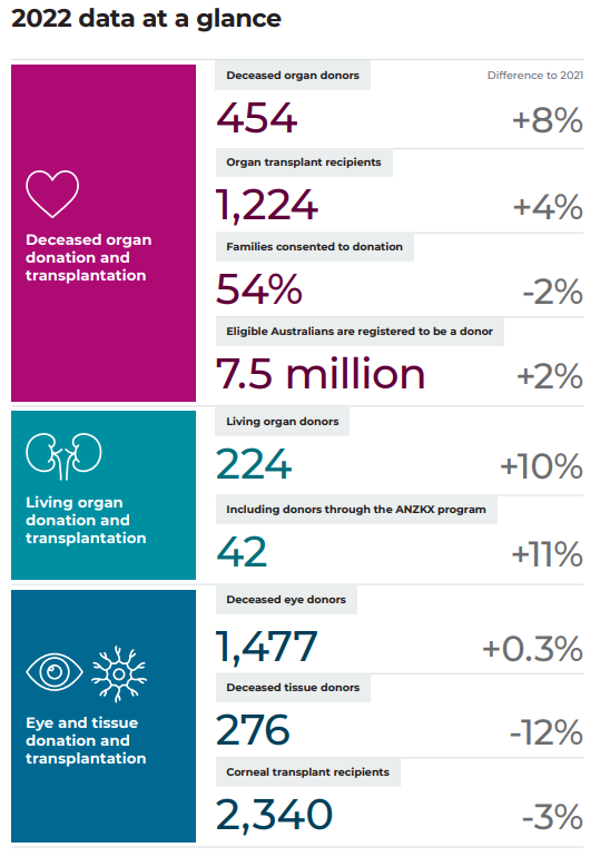 2022 data at a glance screenshot of page 7 of the 2022 Activity Report