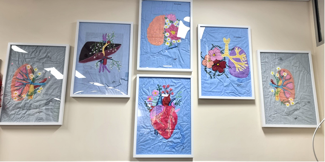 Six framed surgical gowns hanging on a hospital wall. They all have artworks of organs and flowers painted on them.