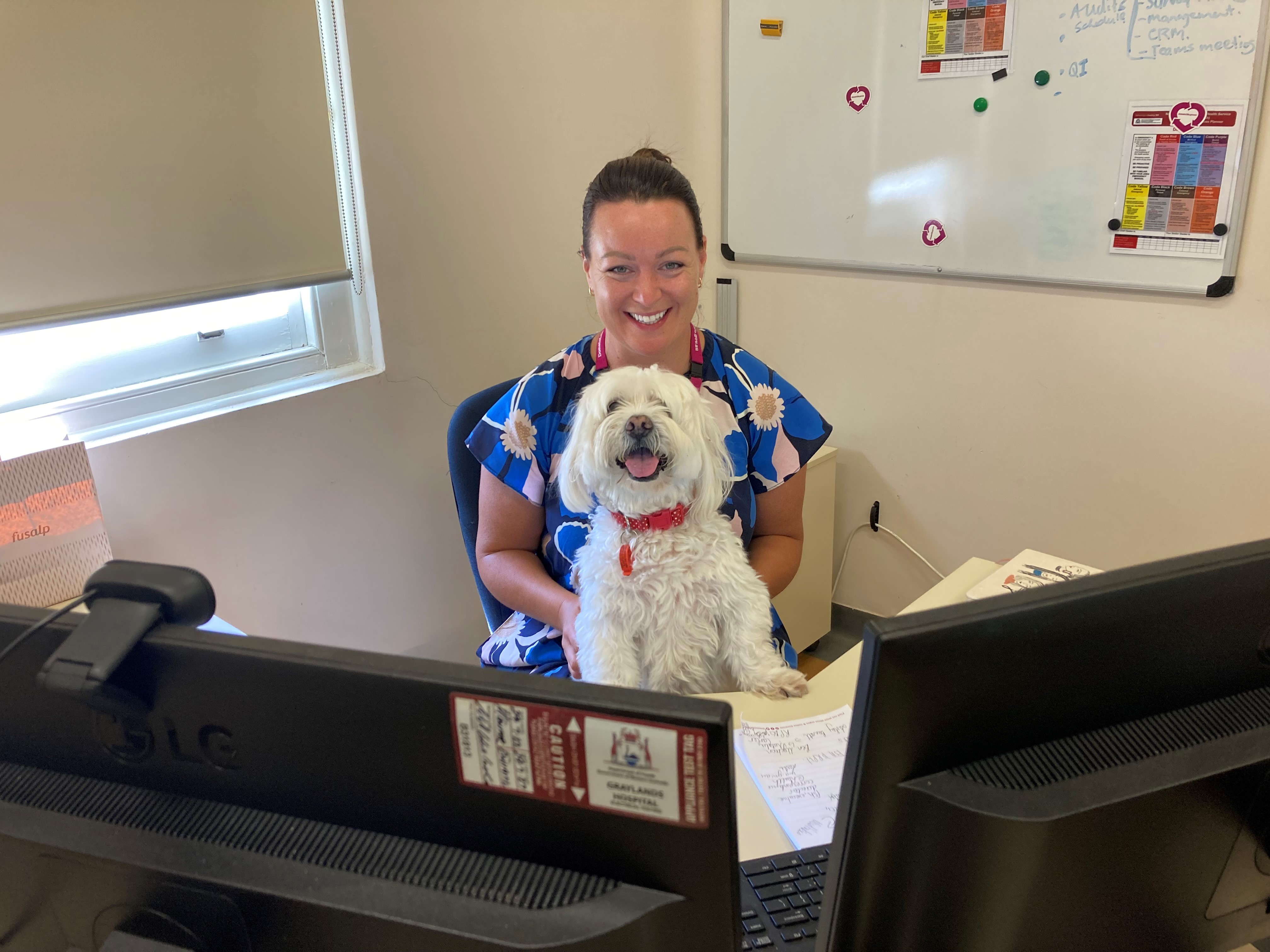 A woman sitting at a desk with computer screen in front of her, with a small white dog sitting on her lap.