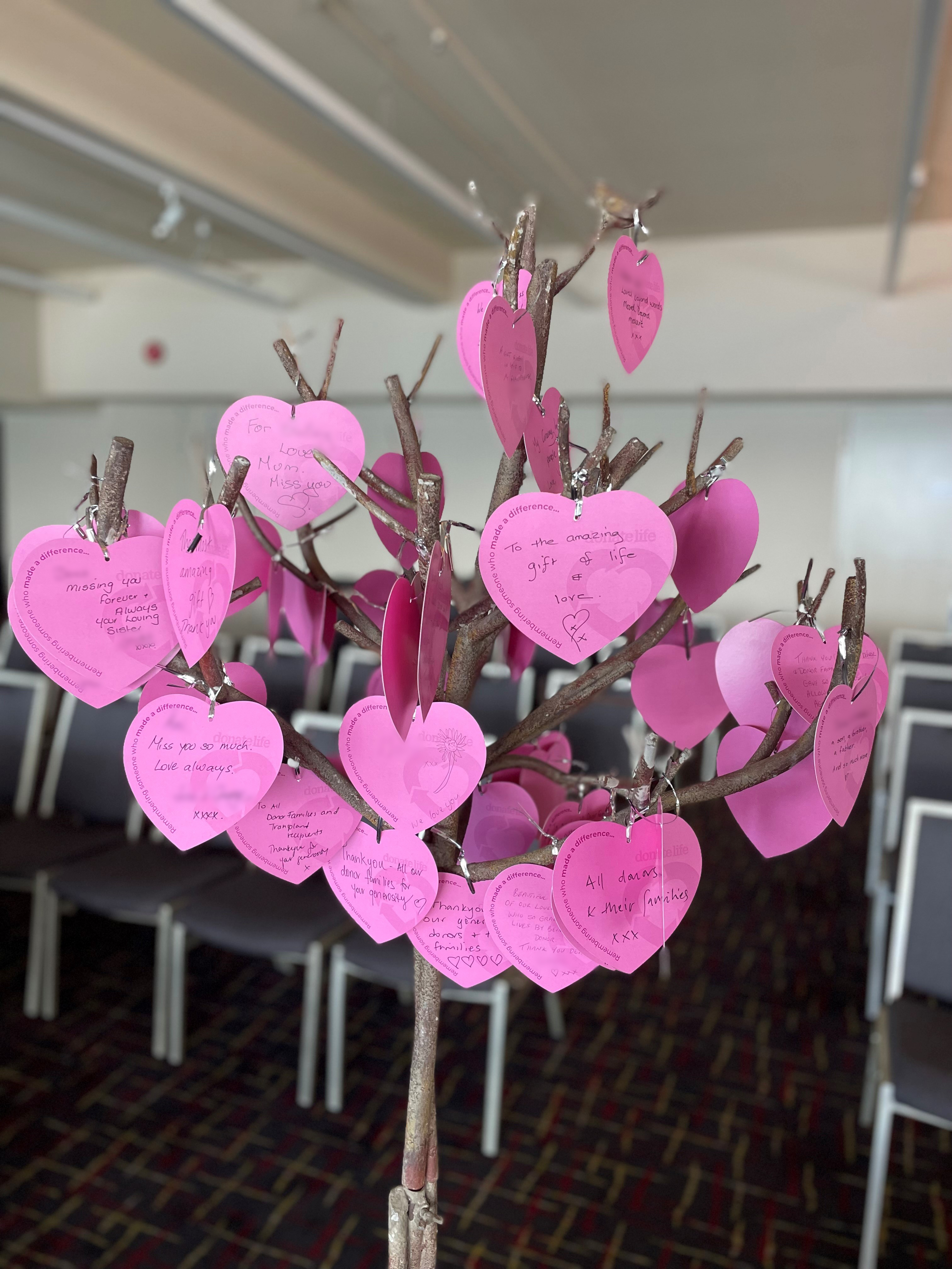 he Tasmanian Service of Remembrance tree of hearts full of messages of love and thanks for organ donors. 