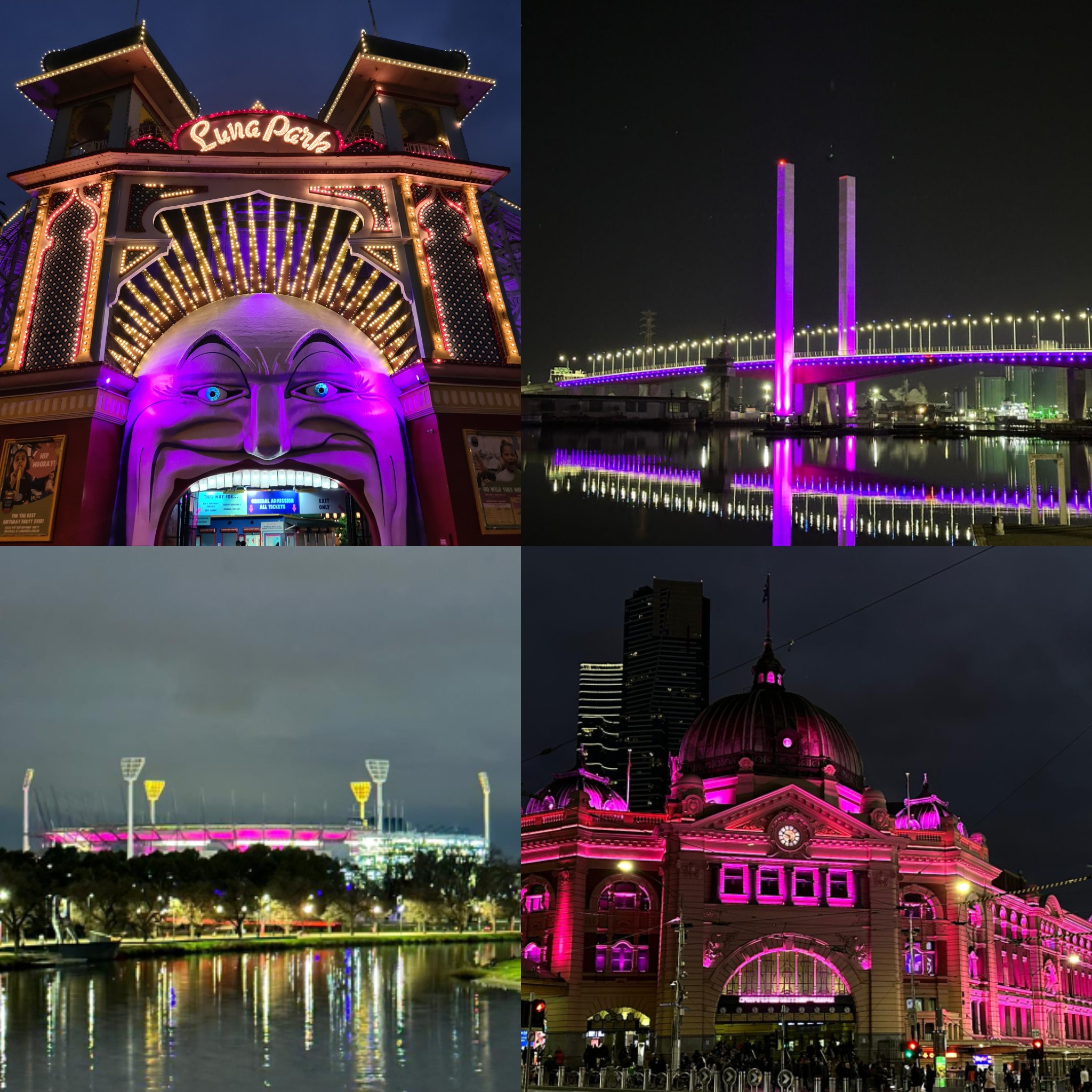 Photo of VIC monuments lit up in magenta for DLW